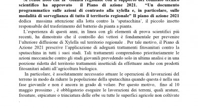 Lotta alla Xylella  fastidiosa. Piano d'azione 2021 