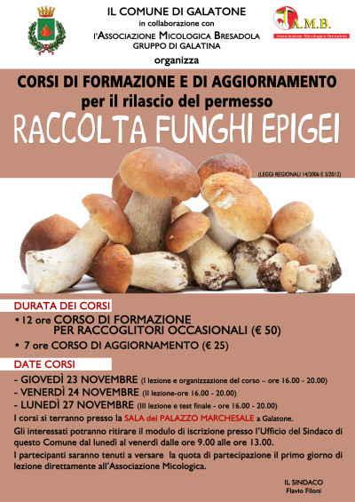 Raccolta funghi epigei.