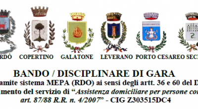 “Assistenza domiciliare per persone con disagio psichico 