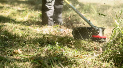 MANUTENZIONE VEGETAZIONE, SIEPI, STERPAGLIE E RAMI DEI TERRENI PRIVATI