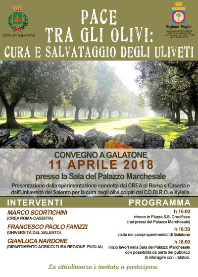 Pace tra gli olivi: cura e salvataggio degli uliveti. Convegno.